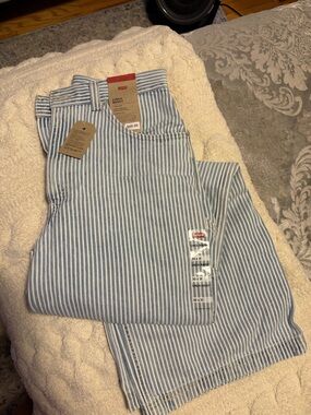 30 | Levi's Light Blue and White Cinch Baggy Jeans